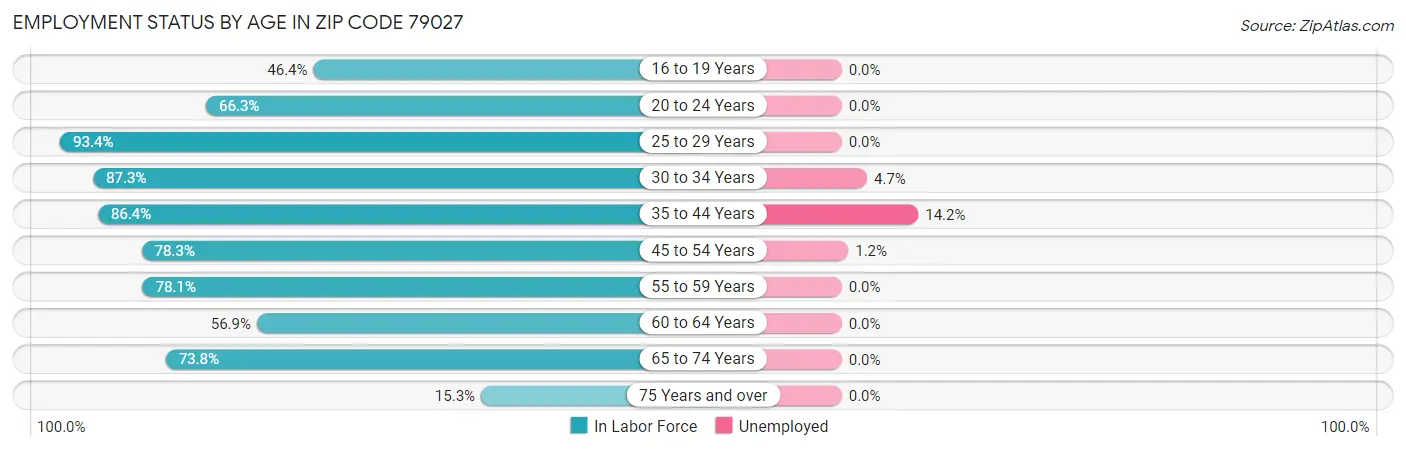 Employment Status by Age in Zip Code 79027