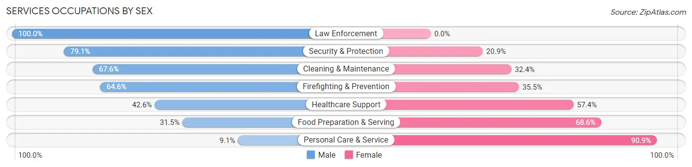 Services Occupations by Sex in Zip Code 79029
