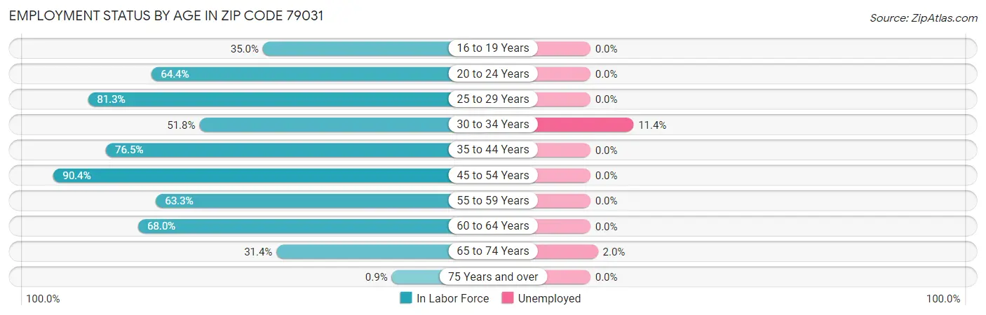 Employment Status by Age in Zip Code 79031