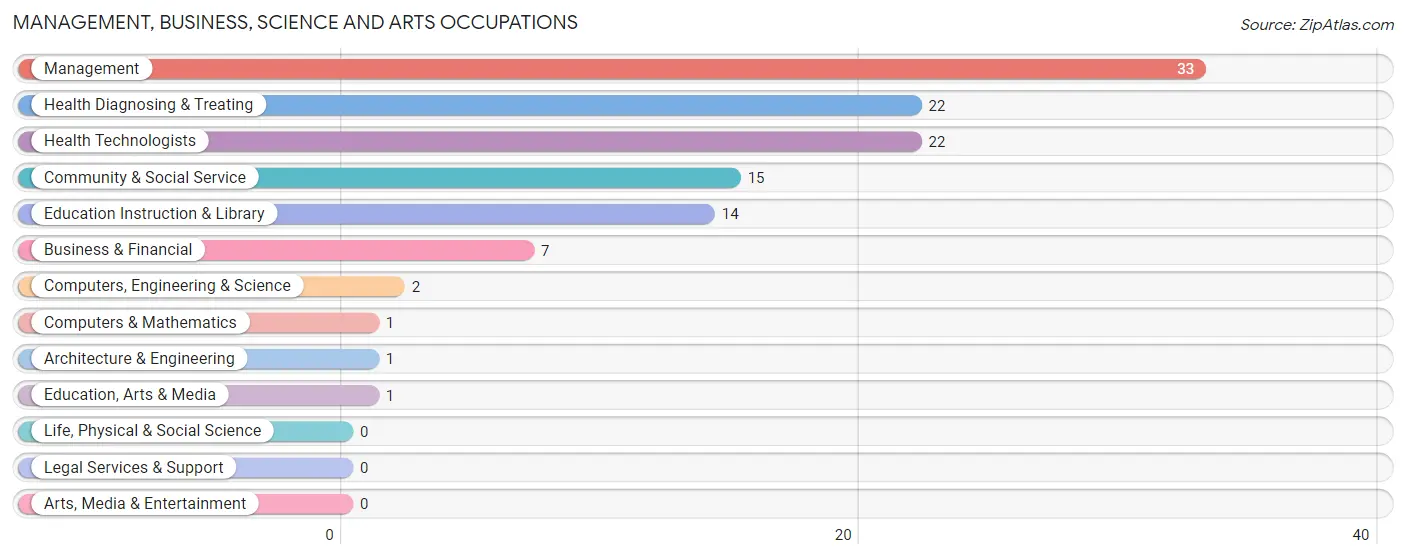 Management, Business, Science and Arts Occupations in Zip Code 79034