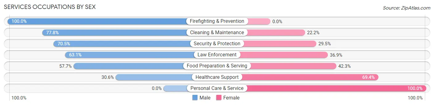 Services Occupations by Sex in Zip Code 79035