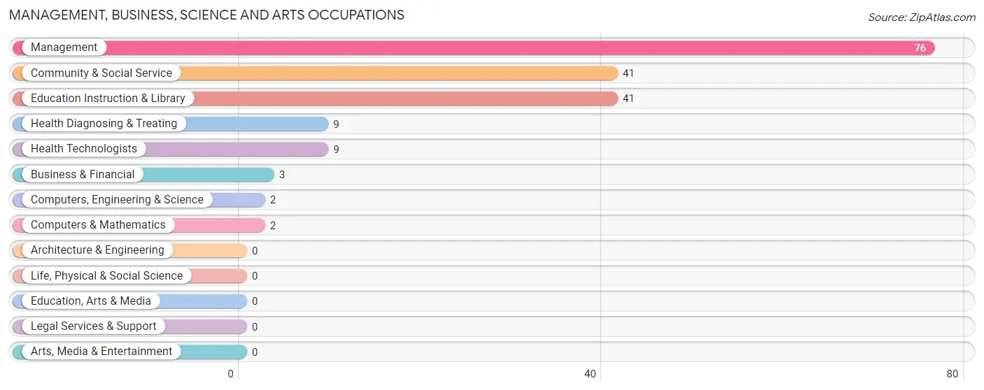 Management, Business, Science and Arts Occupations in Zip Code 79039