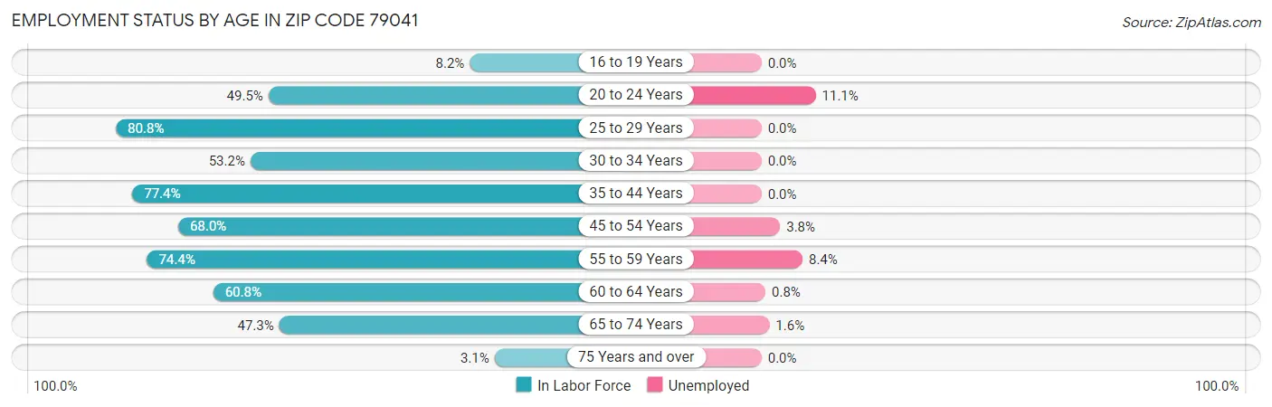 Employment Status by Age in Zip Code 79041