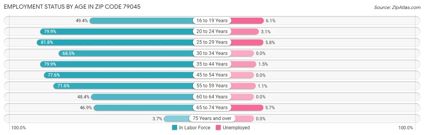 Employment Status by Age in Zip Code 79045