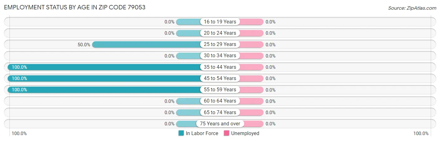 Employment Status by Age in Zip Code 79053