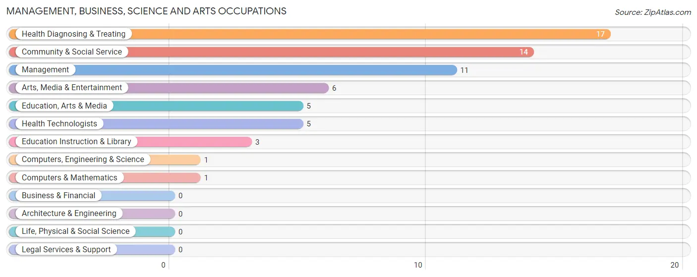 Management, Business, Science and Arts Occupations in Zip Code 79054