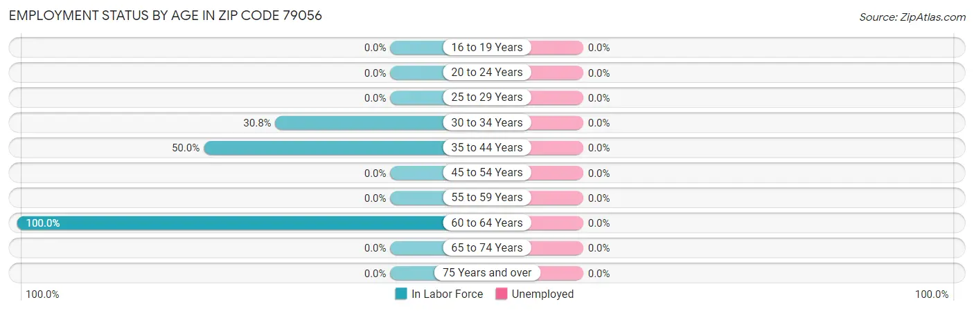 Employment Status by Age in Zip Code 79056