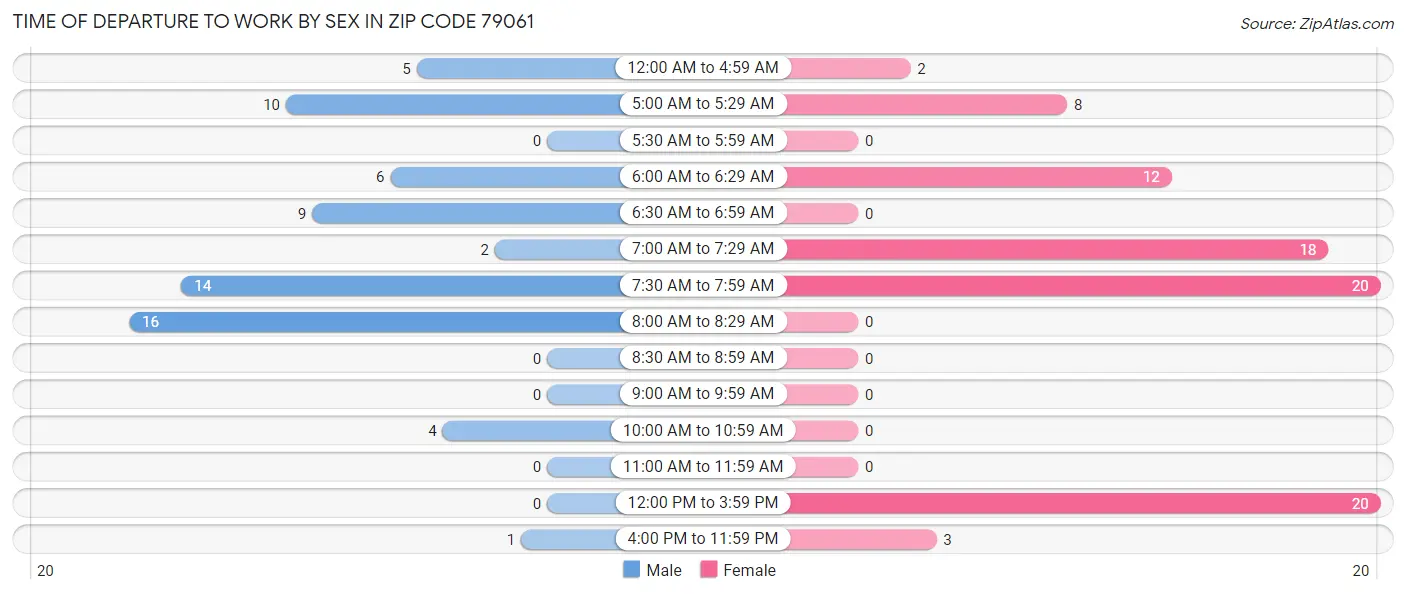 Time of Departure to Work by Sex in Zip Code 79061