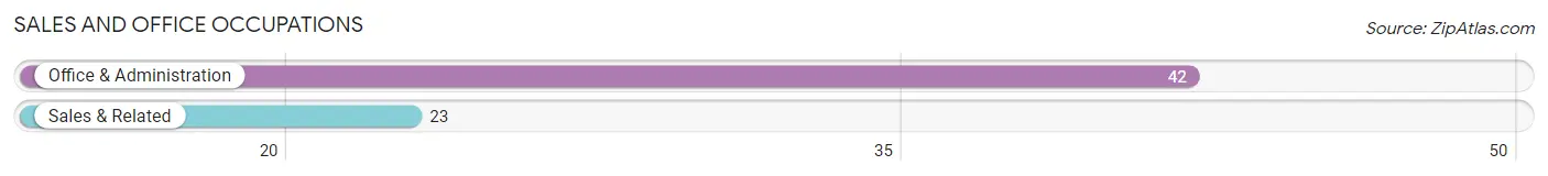 Sales and Office Occupations in Zip Code 79063