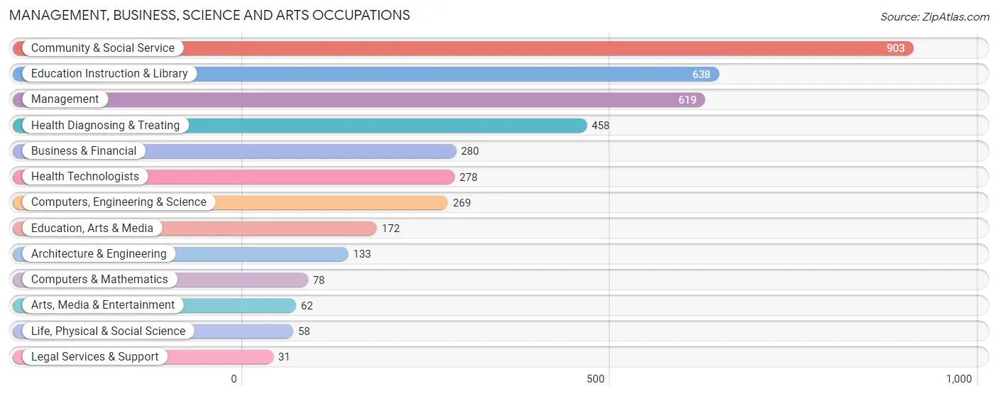 Management, Business, Science and Arts Occupations in Zip Code 79065