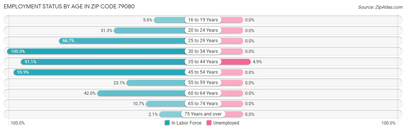 Employment Status by Age in Zip Code 79080
