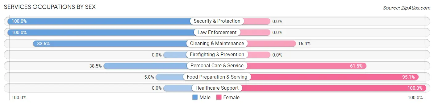 Services Occupations by Sex in Zip Code 79081