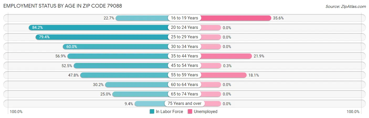 Employment Status by Age in Zip Code 79088