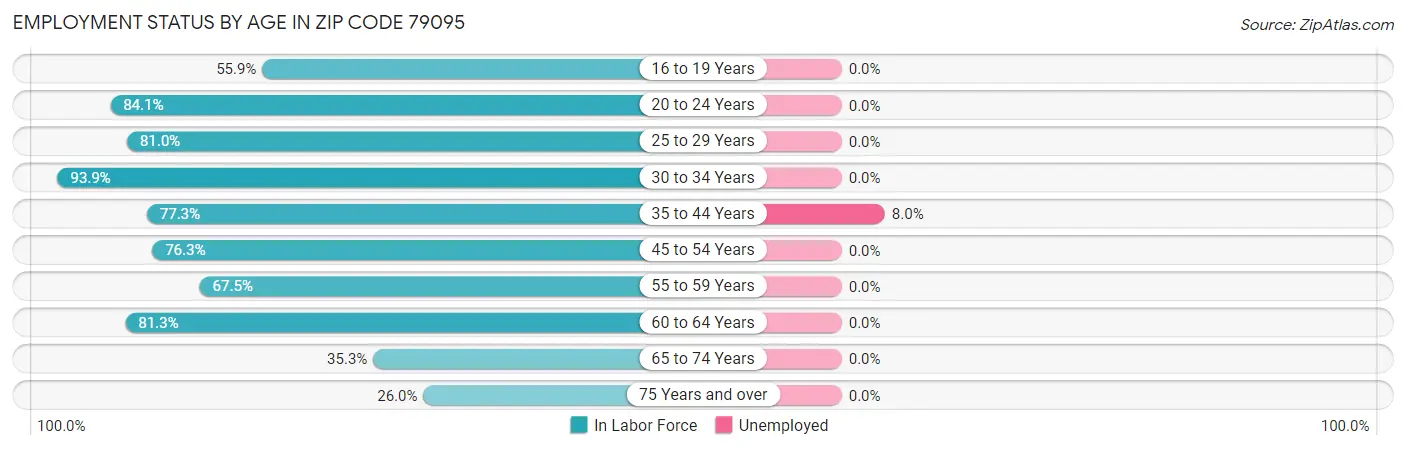 Employment Status by Age in Zip Code 79095