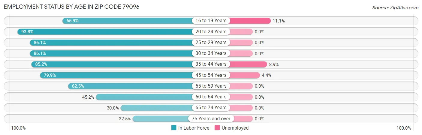 Employment Status by Age in Zip Code 79096