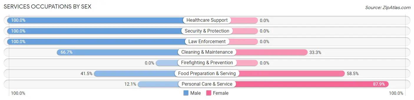 Services Occupations by Sex in Zip Code 79101