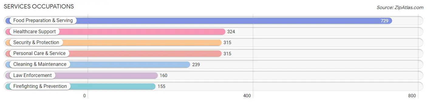 Services Occupations in Zip Code 79110