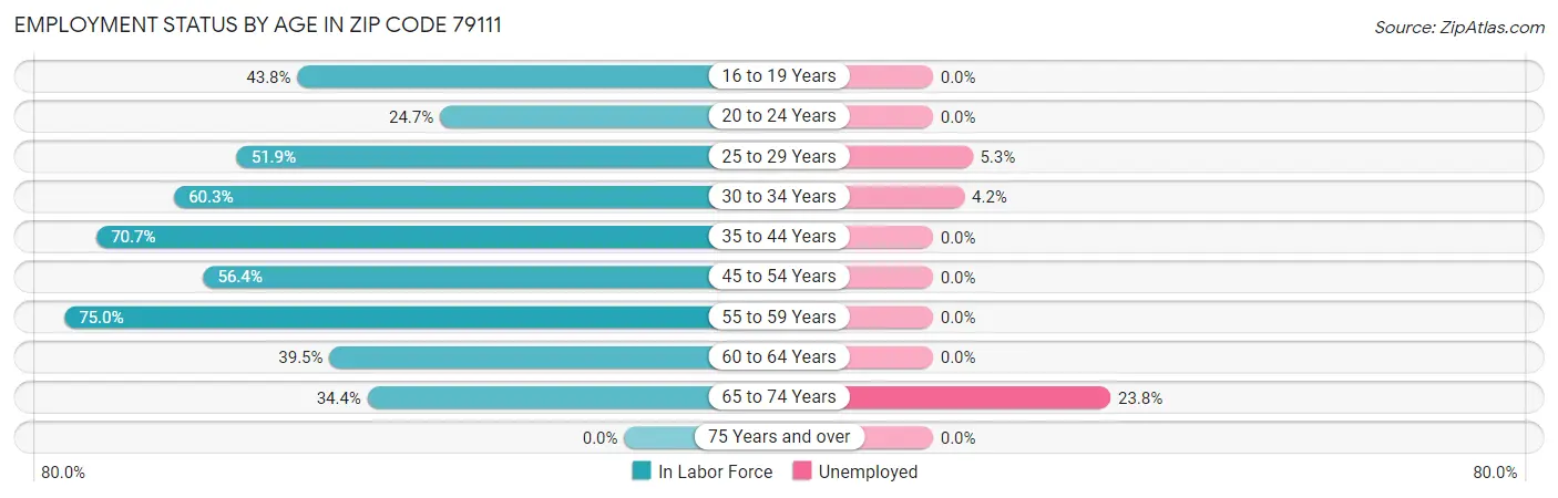 Employment Status by Age in Zip Code 79111