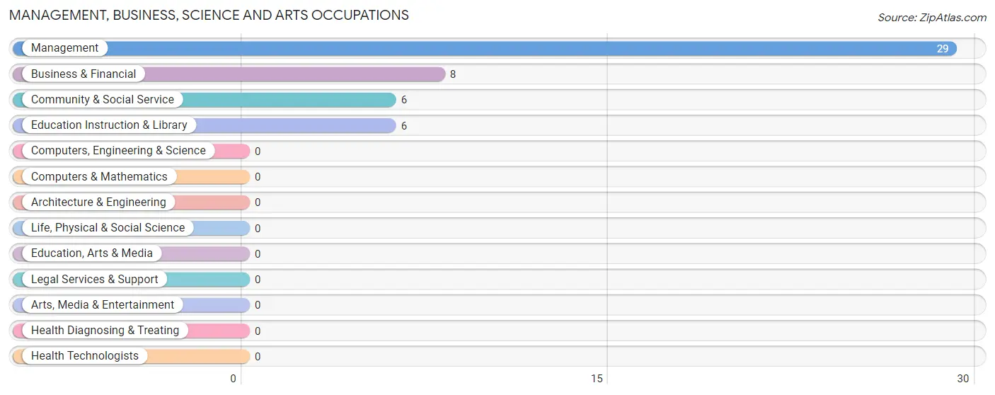 Management, Business, Science and Arts Occupations in Zip Code 79234