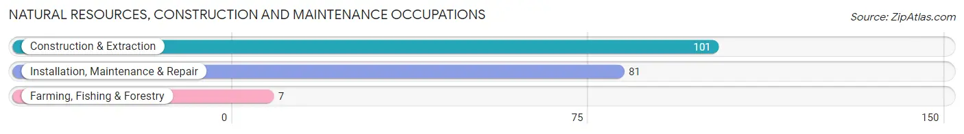 Natural Resources, Construction and Maintenance Occupations in Zip Code 79252