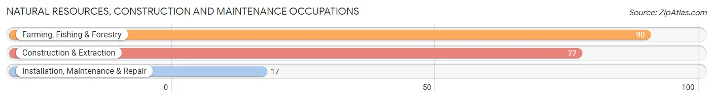 Natural Resources, Construction and Maintenance Occupations in Zip Code 79346