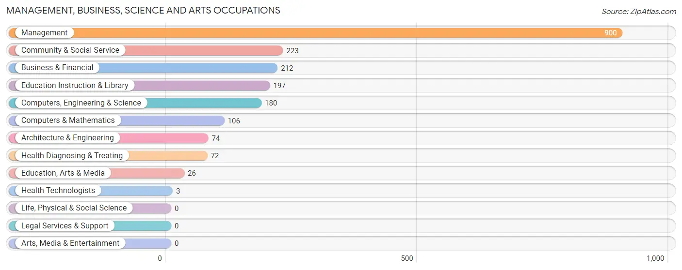 Management, Business, Science and Arts Occupations in Zip Code 79360