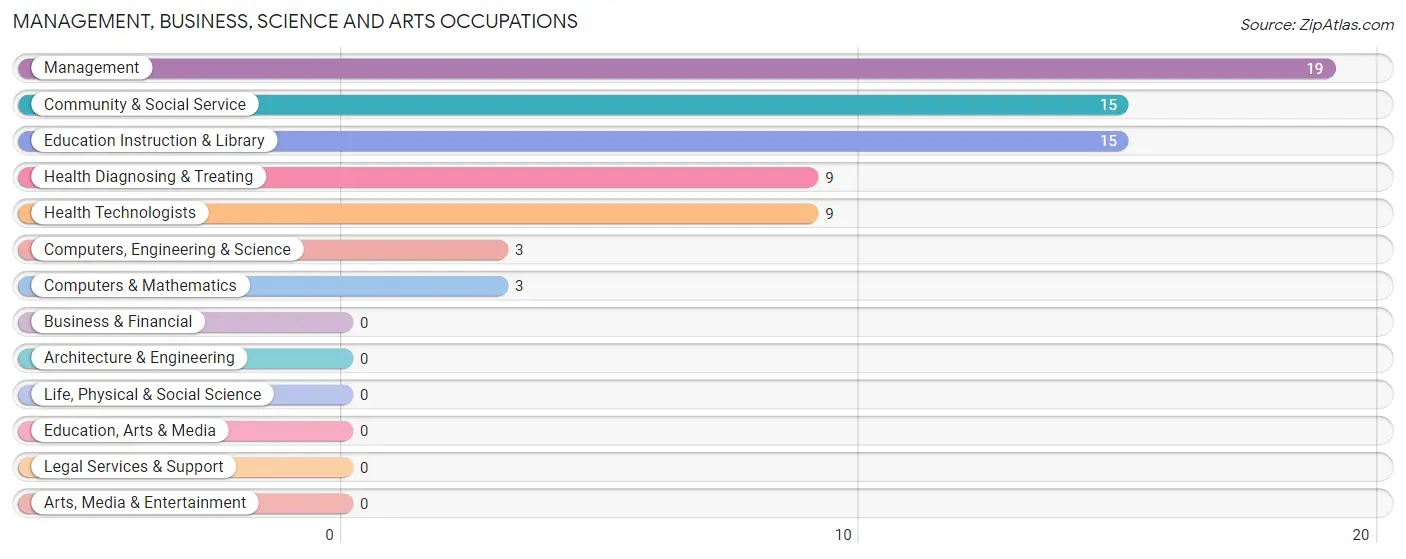 Management, Business, Science and Arts Occupations in Zip Code 79378