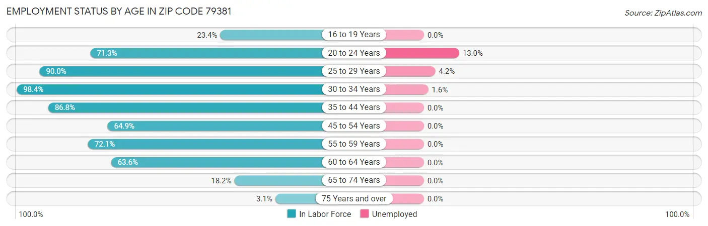 Employment Status by Age in Zip Code 79381