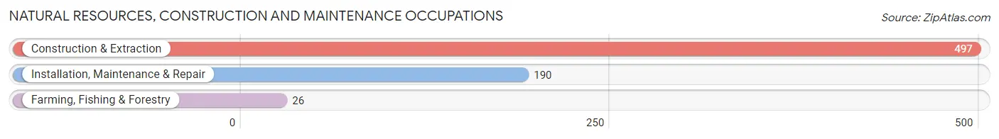 Natural Resources, Construction and Maintenance Occupations in Zip Code 79403