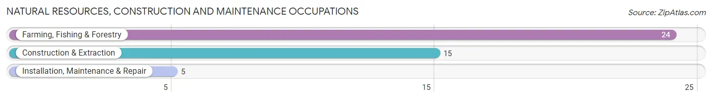 Natural Resources, Construction and Maintenance Occupations in Zip Code 79526