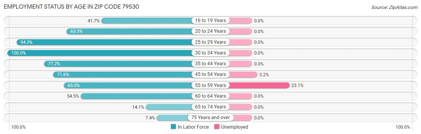 Employment Status by Age in Zip Code 79530