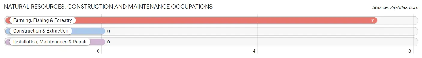 Natural Resources, Construction and Maintenance Occupations in Zip Code 79537