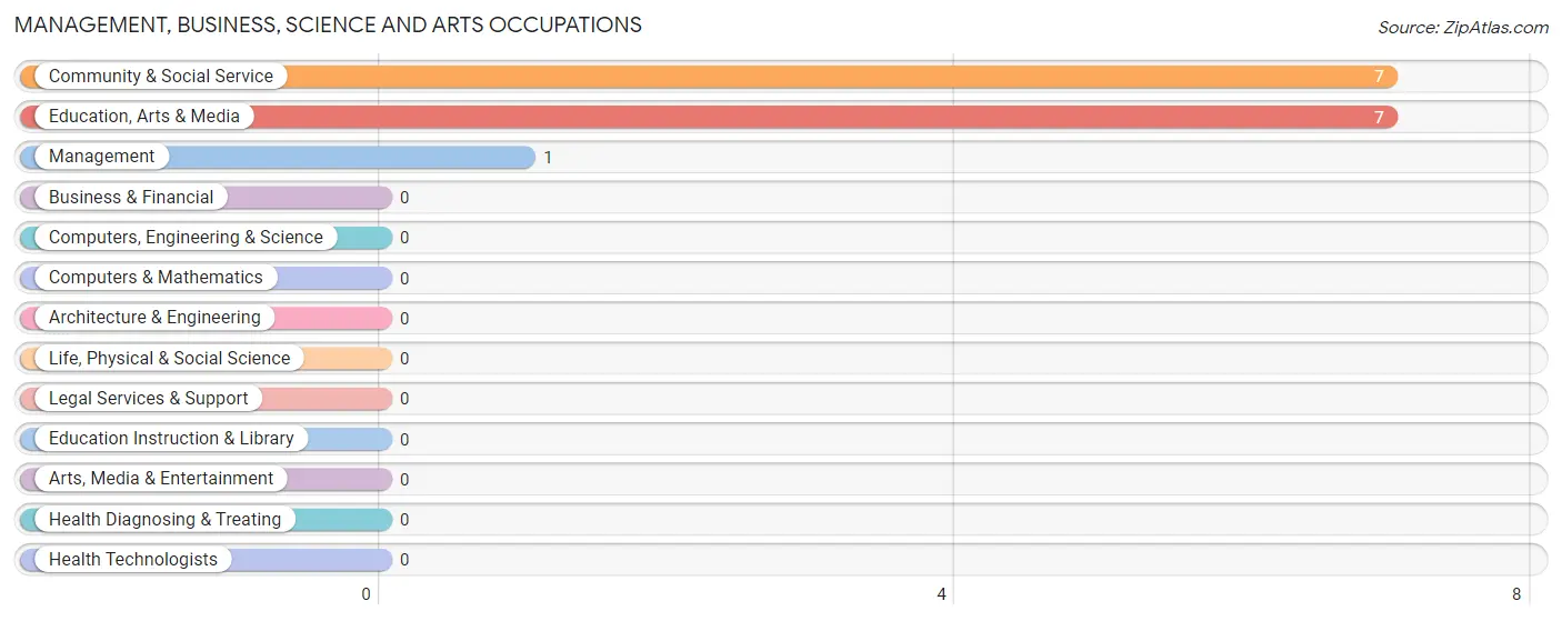 Management, Business, Science and Arts Occupations in Zip Code 79699