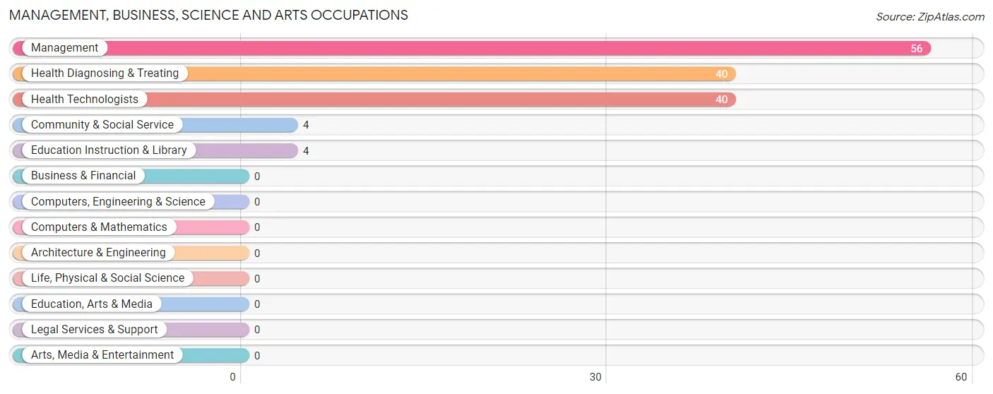 Management, Business, Science and Arts Occupations in Zip Code 79837