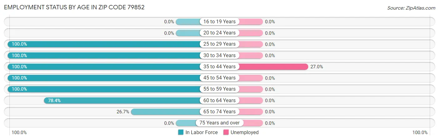 Employment Status by Age in Zip Code 79852