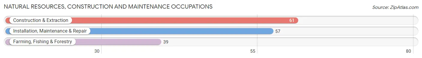 Natural Resources, Construction and Maintenance Occupations in Zip Code 79853