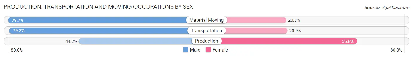 Production, Transportation and Moving Occupations by Sex in Zip Code 80002