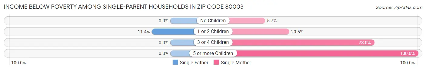 Income Below Poverty Among Single-Parent Households in Zip Code 80003