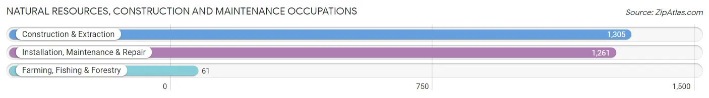 Natural Resources, Construction and Maintenance Occupations in Zip Code 80015