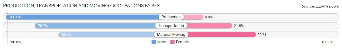 Production, Transportation and Moving Occupations by Sex in Zip Code 80019