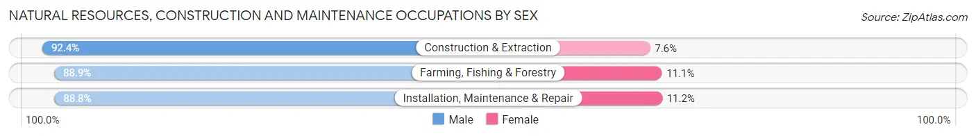 Natural Resources, Construction and Maintenance Occupations by Sex in Zip Code 80020