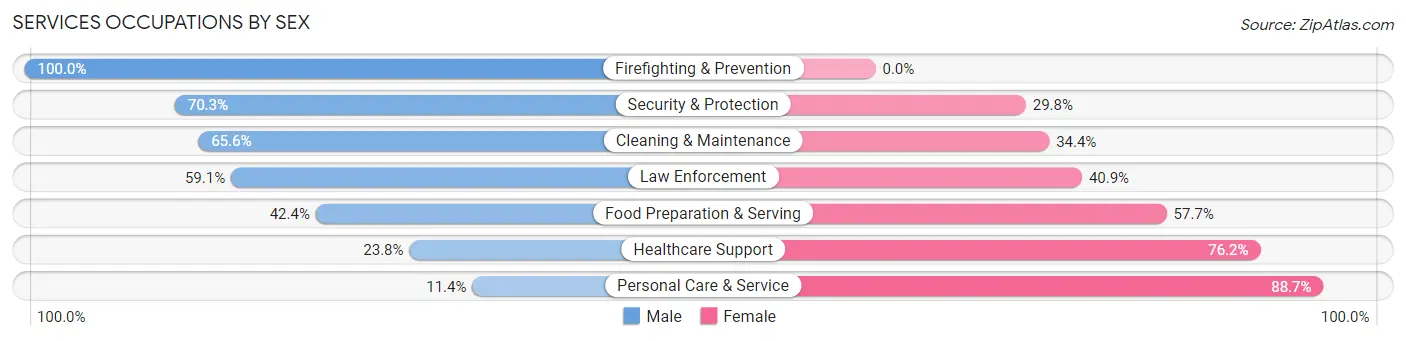 Services Occupations by Sex in Zip Code 80027