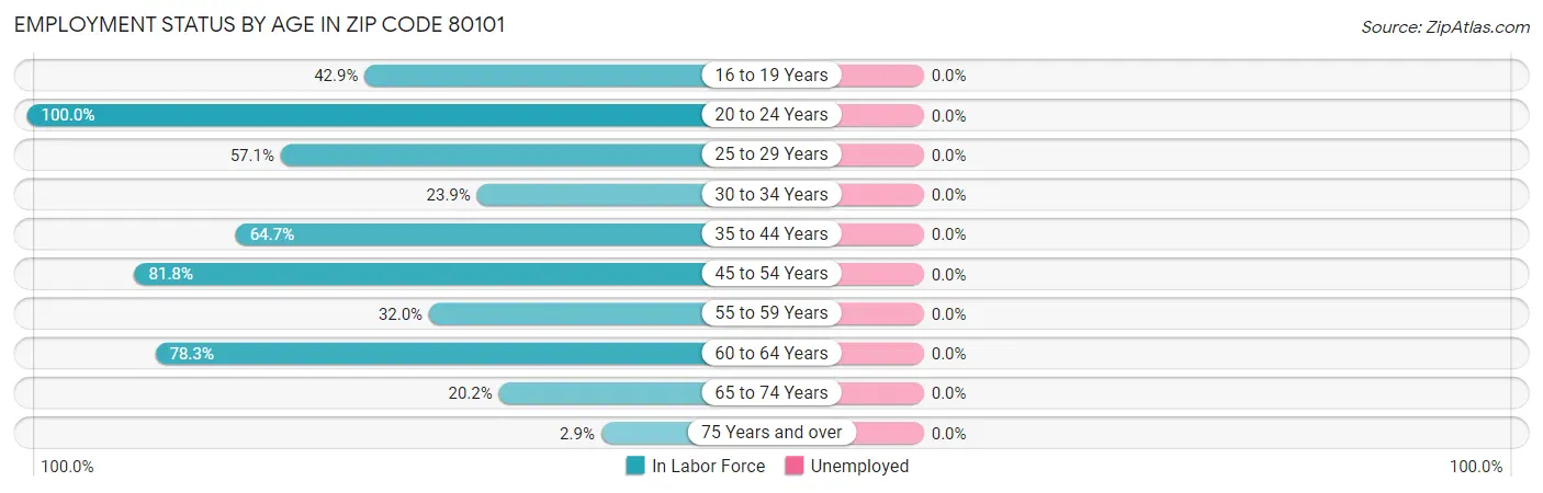 Employment Status by Age in Zip Code 80101