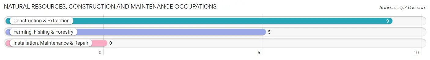 Natural Resources, Construction and Maintenance Occupations in Zip Code 80101