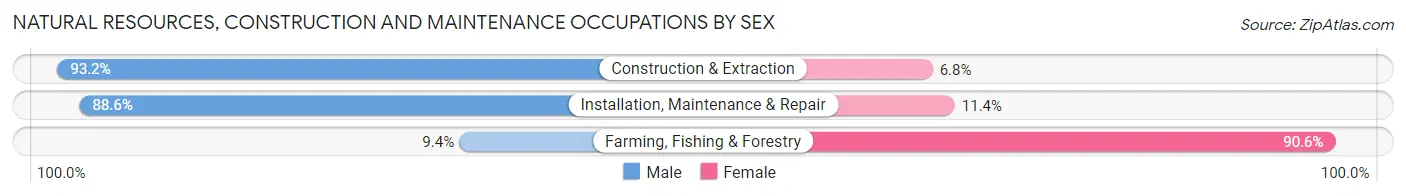 Natural Resources, Construction and Maintenance Occupations by Sex in Zip Code 80106