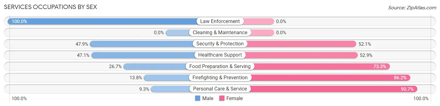 Services Occupations by Sex in Zip Code 80106