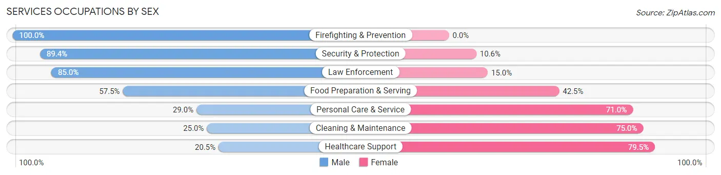 Services Occupations by Sex in Zip Code 80107
