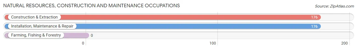 Natural Resources, Construction and Maintenance Occupations in Zip Code 80121