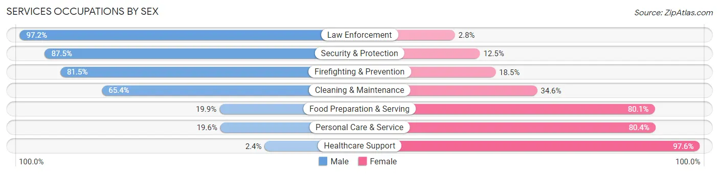 Services Occupations by Sex in Zip Code 80129