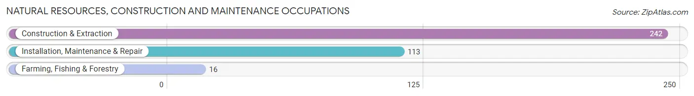 Natural Resources, Construction and Maintenance Occupations in Zip Code 80202